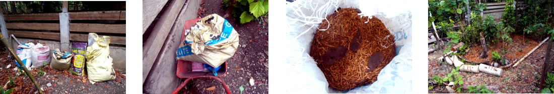 Images of sacks of sawdust being
        dumped as compost on tropical backyard garden patches