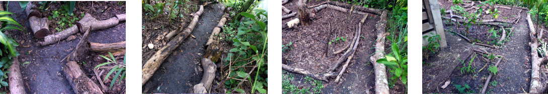 Images of tropical backyard birdere
        repaired after flooding