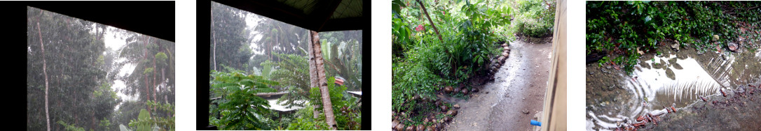 Images of rain in tropical backyard