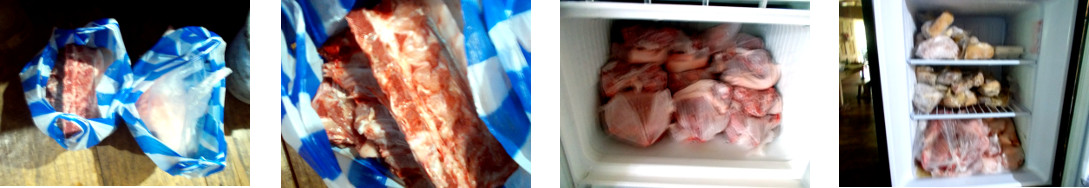 Images of meat in tropical hoime