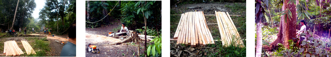 Images of men cutting wood to build a
        tropical house