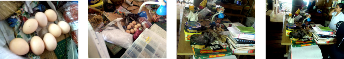 Images of chicken eggs laid on living
        room table in tropical home