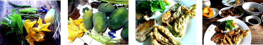 Images of fried squash flowers in
        tropical home