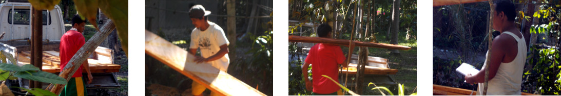 Images of mahogany planks being
        removed from tropical backyard