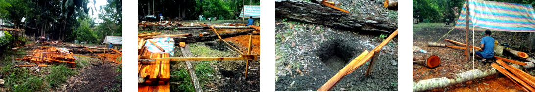 Images of tropical neighbours starting to build new
        wooden house