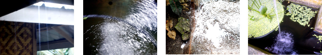Images of light rain in tropical
        backyard