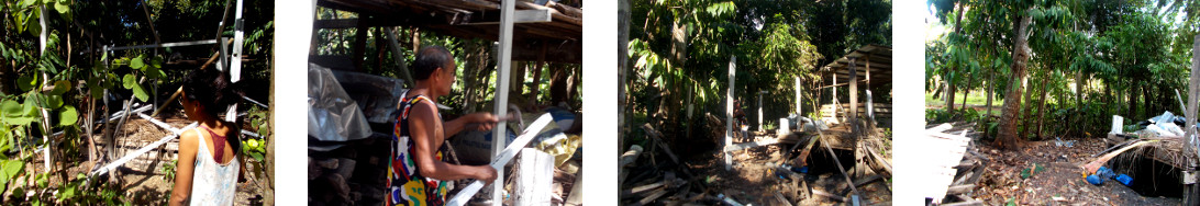 Images of tropical backyard woodshed being demolished to
        make way for tree felling