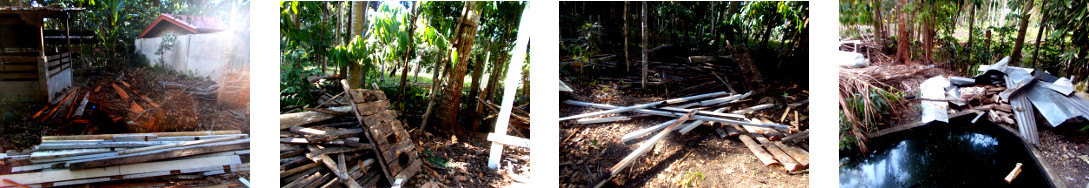 Images of debris from demolished woodshed in tropical
        backyard