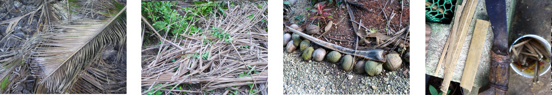 Images of preparing materials used to improve
            tropical backyard garden borders