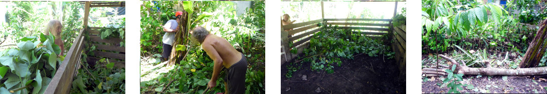 Images of debris from tropical
        backyard tree felling cleared up