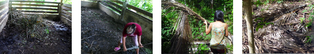 Images of tropical backyard pigpen
        being cleaned