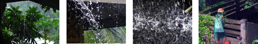 Images of rain in tropical backyard