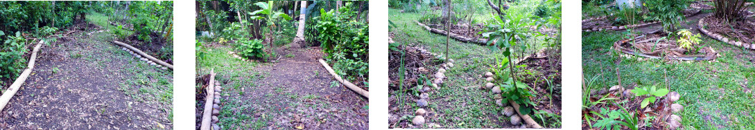 Images of tidied up tropical backyard
        garden