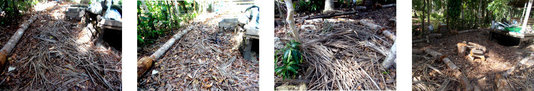 Images of tropical backyard debris cleared up