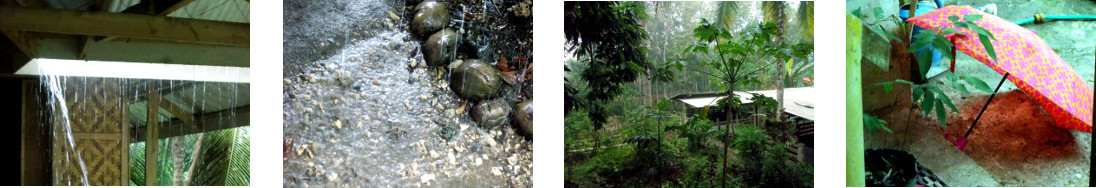 Images of heavy rain in tropical backyard