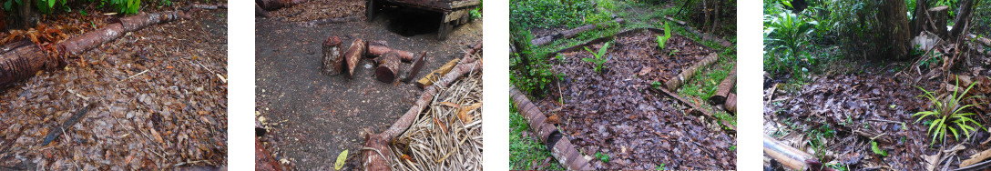 Images of leaves cleared from one area
        in tropical backyard and used as mulch in another