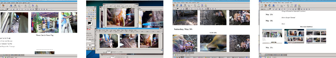 Images of image proccesing with Gimp