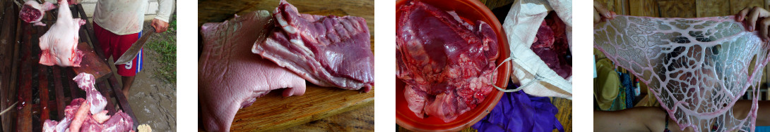 Images of freshly butchered