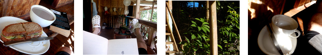 Images of a lazy sunny day resting on
        a tropical balcony