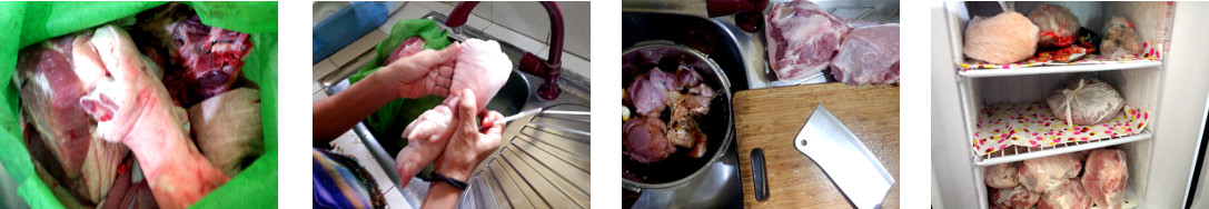 Images of freshly slaughtered backyard
        pork in tropical home