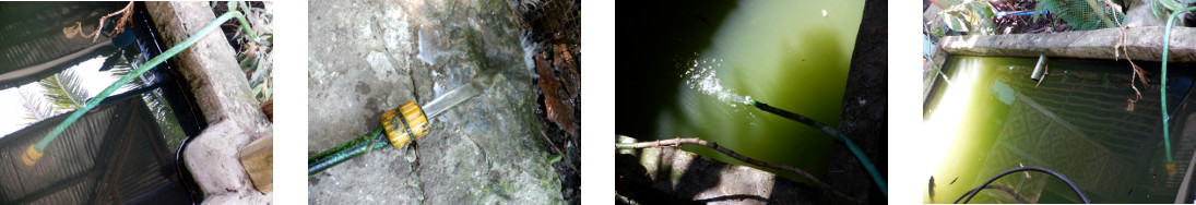 Images of tropical backyard pond water
        being refreshed