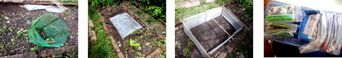 Images of construction of
        Mini-Greenhouse in tropical backyard