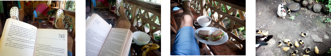 Images of resting and recovering on a
        tropical balcony