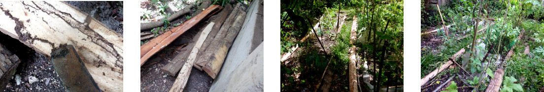 Images of unwanted planks used to make
        garden borders in tropical backyard