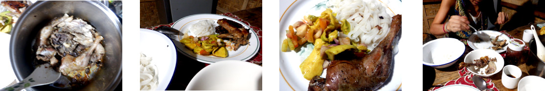 Images of duck with noodles