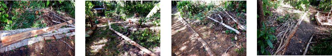 Images of lumber off-cuts used as
        border for tropical backyard garden patch