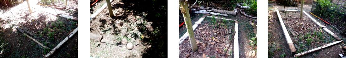 Images of tropical backyard garden border made to
        measure from garden scraps