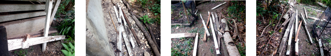 Images of lumber collected to repair tropical backyard
        garden borders