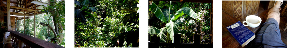 Images of a hot Sunday afternoon on
        tropical balcony