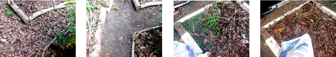 Images of compost from organic debris on paths in
        tropical bakyard