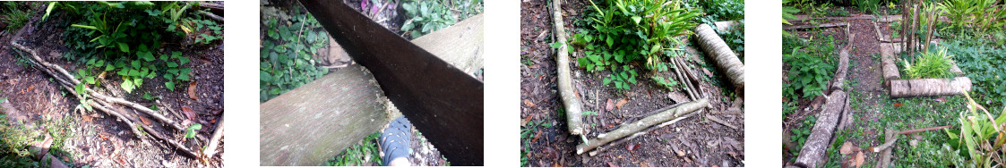 Images of felled tree trunk used to improve garden borders
        in tropical backyard
