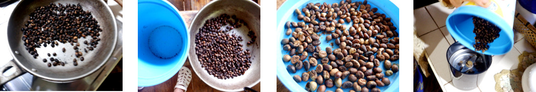 Images of home grown coffee beans being processed in
        tropical house