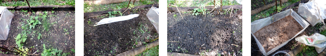 Images of mini-greenhouse being constructed in tropical
        backyard