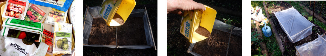 Images of mini-greenhouse in tropical backyard being
        sown with various seeds