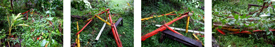 Images of garden frame collapsed in tropical
          backyard