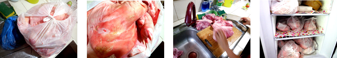 Images of pork from a neighbour being cut up and put in
        the freezer