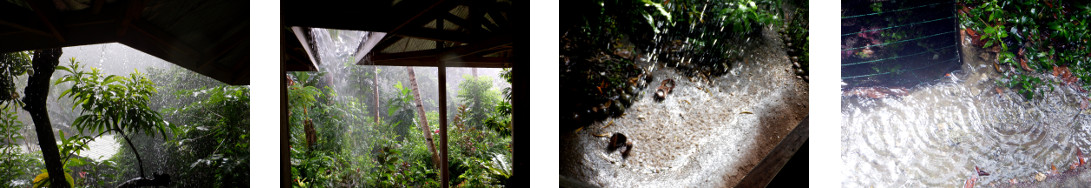 Images of rain in tropical backyard