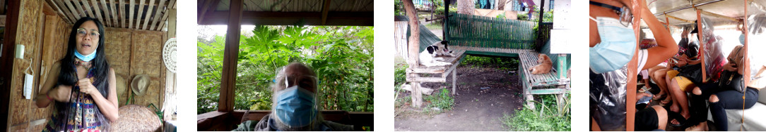 Images of a trip into Tagbilaran