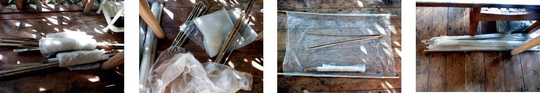 Images of making "mini-greenhouses"
              from plastic bags and bamboo in tropical backyard