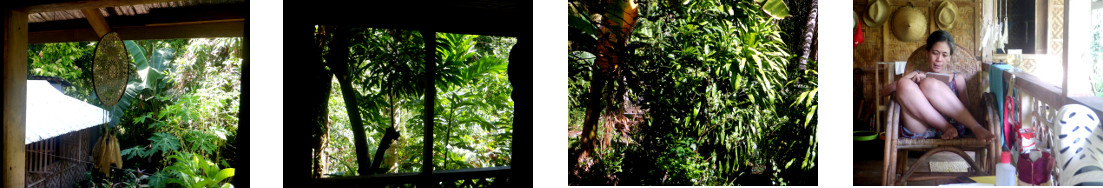 Images of lazy day on tropical
        balcony