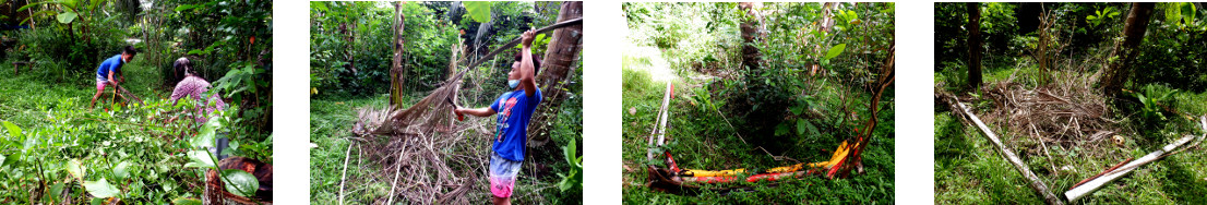 Images of fallen climbing frame
        removed from tropical backyard