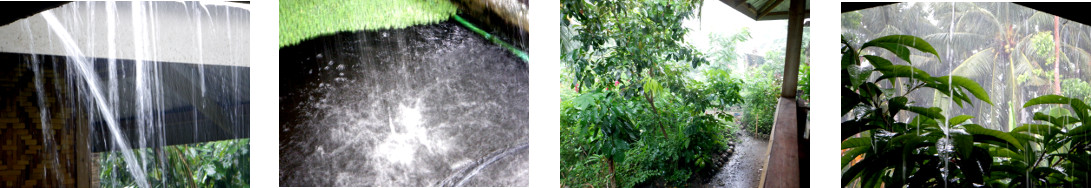 Images of rain in tropical backyard