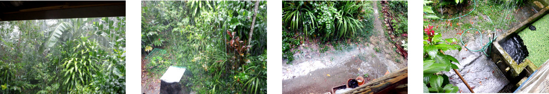 Images of rain in tropical backyard