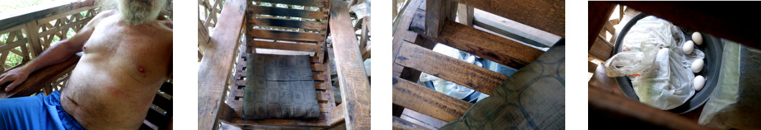 Images of chickien eggs under chair on
        tropical balcony