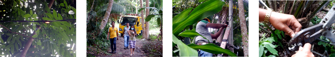 Images of electricity supply
            wire being repaired in tropical bckyard