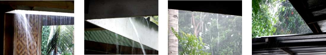 Images of rain in tropical backyard